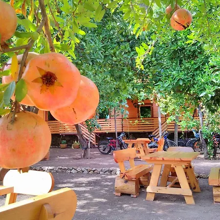 Chimera Pia Aparts Hotel Çıralı