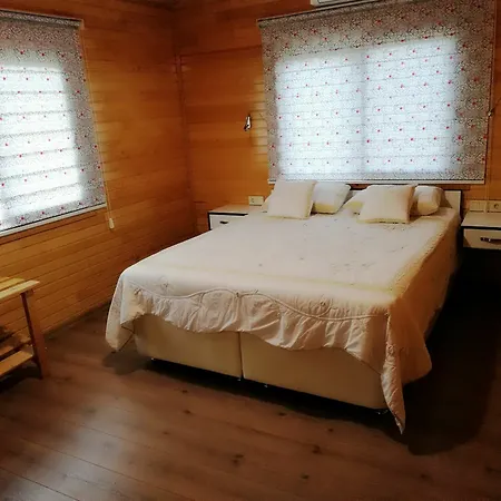 Chimera Pia Aparts Çıralı